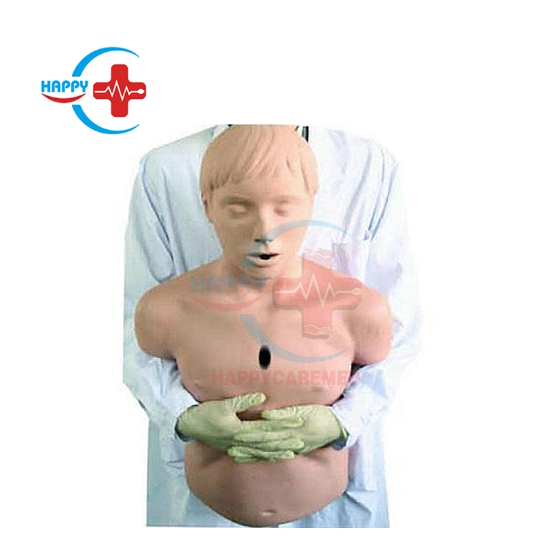 Hc-S030A Advanced Adult Airway Infarction and CPR Model